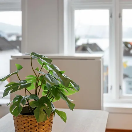 Appartement New Sandviken With Stunning View *